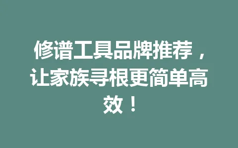 修谱工具品牌推荐，让家族寻根更简单高效！一